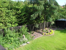 Widok z tarasu - zagajnik za plotem